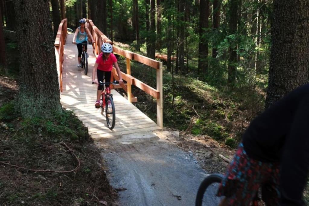 Apartman S Terasou A Vyhledem Na Jezero Lipno Kovarov  Dış mekan fotoğraf