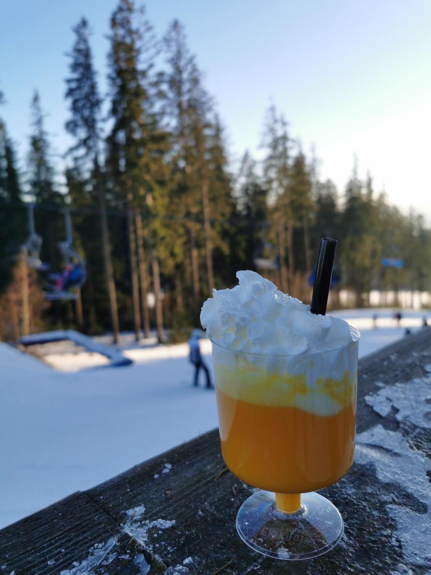 Apartman S Terasou A Vyhledem Na Jezero Lipno Kovarov  Dış mekan fotoğraf