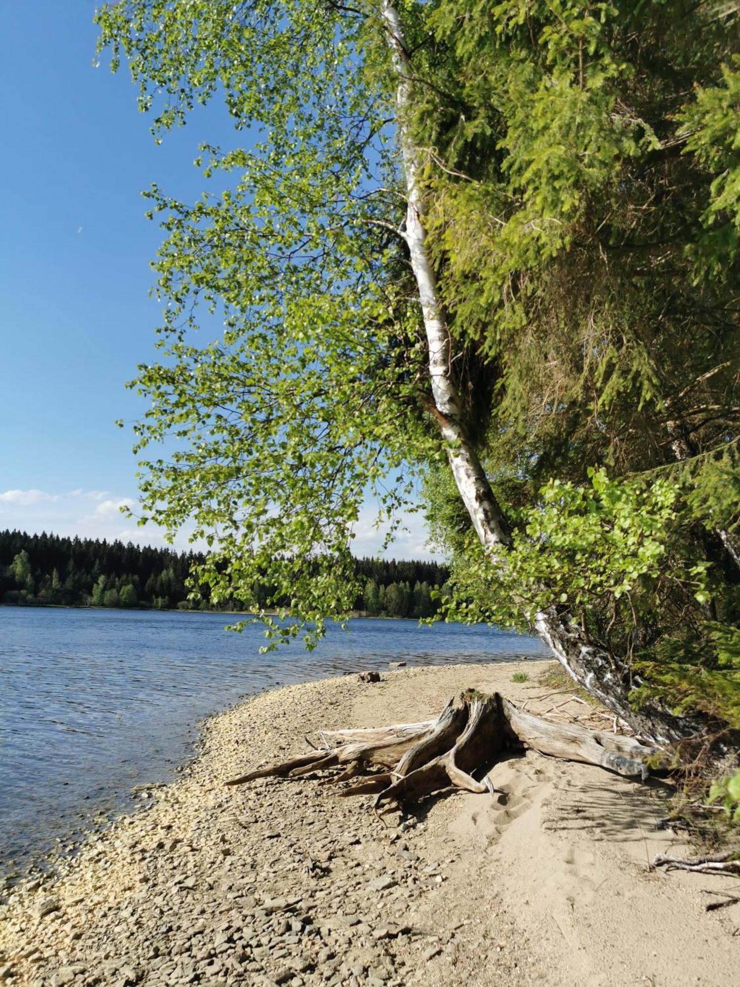 Apartman S Terasou A Vyhledem Na Jezero Lipno Kovarov  Dış mekan fotoğraf